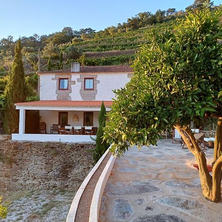 Country House Quinta Da Salgueira Alijó 外观 照片