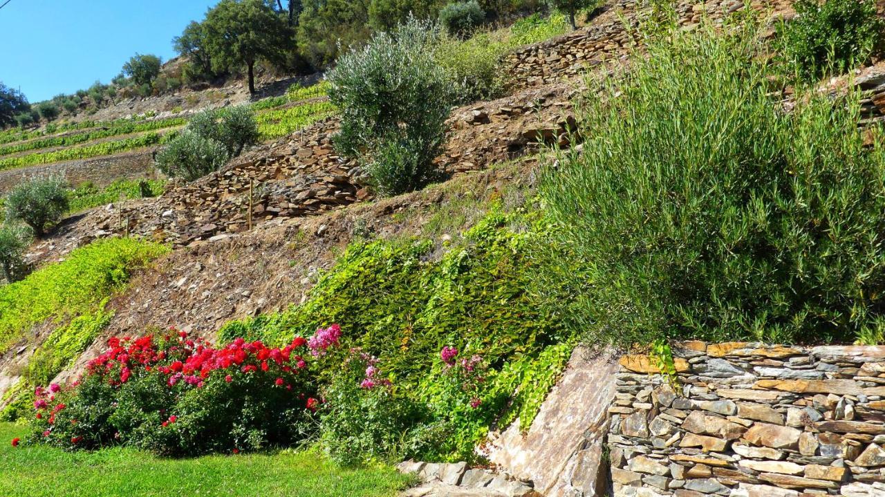 Country House Quinta Da Salgueira Alijó 外观 照片