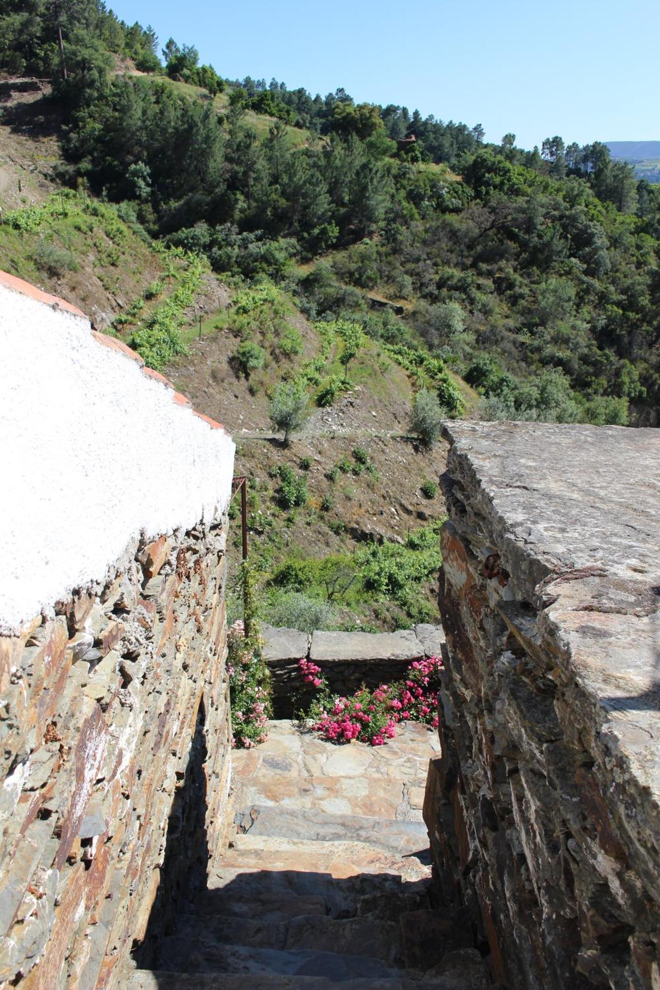 Country House Quinta Da Salgueira Alijó 外观 照片