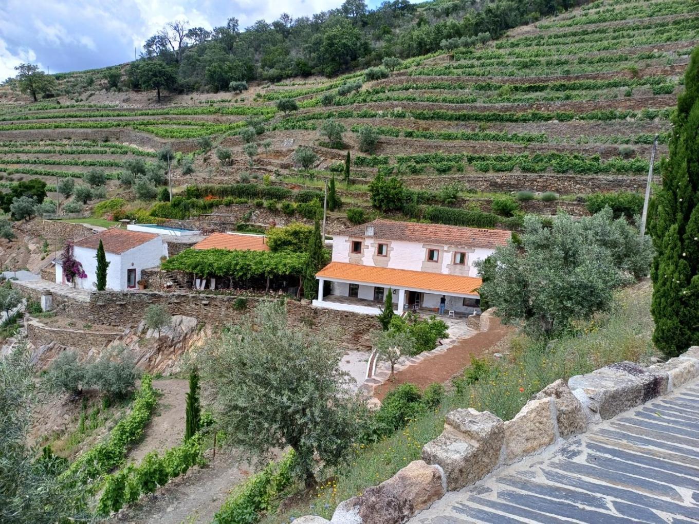 Country House Quinta Da Salgueira Alijó 外观 照片