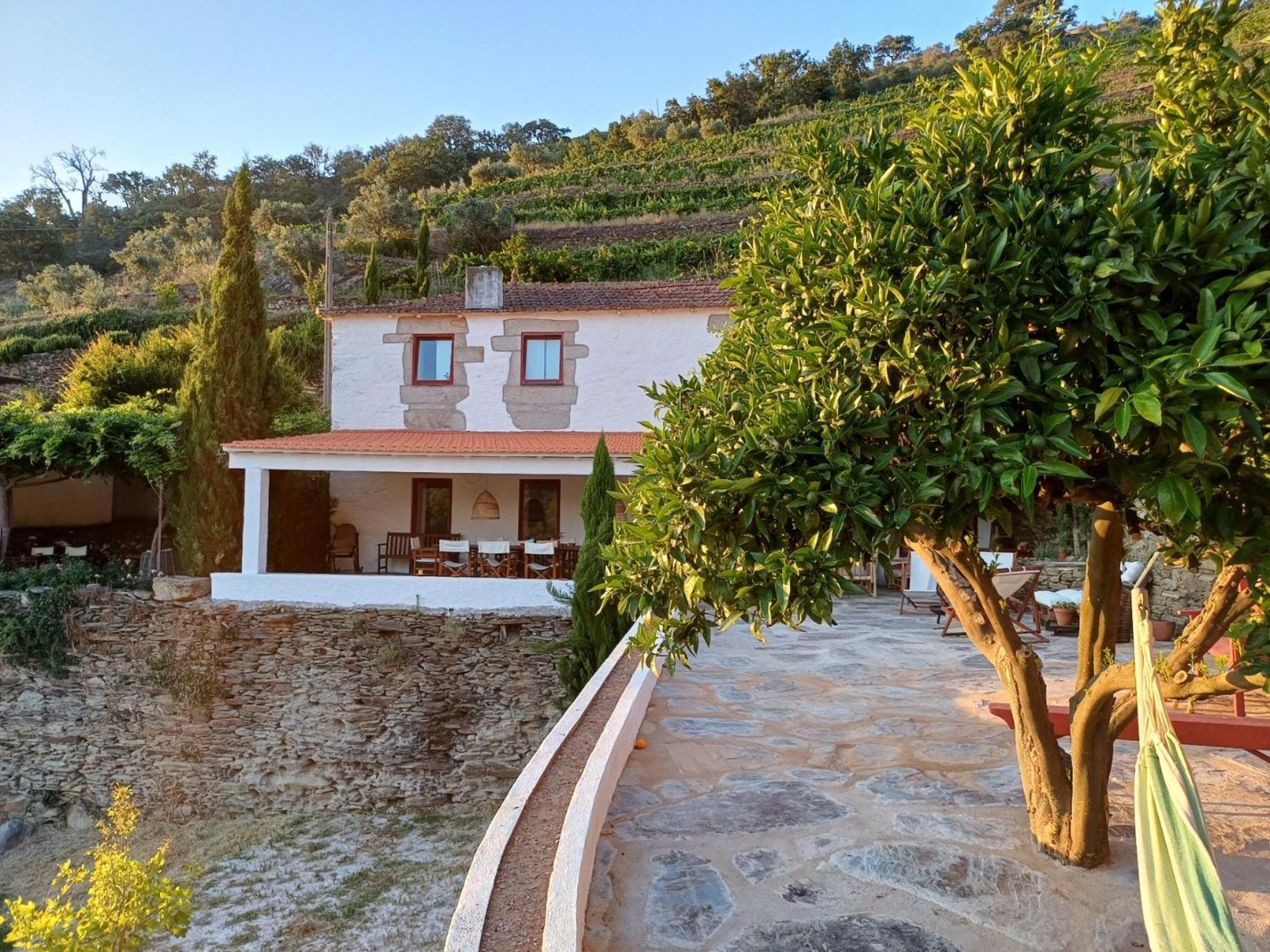 Country House Quinta Da Salgueira Alijó 外观 照片