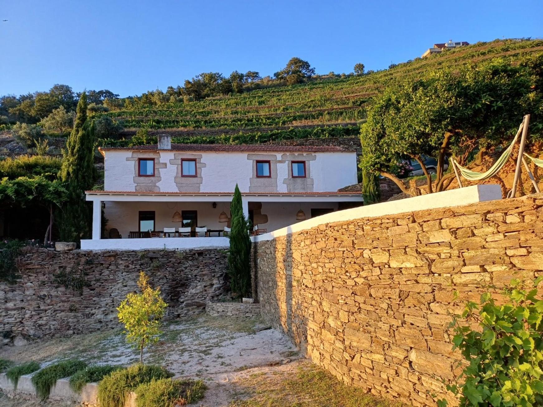 Country House Quinta Da Salgueira Alijó 客房 照片