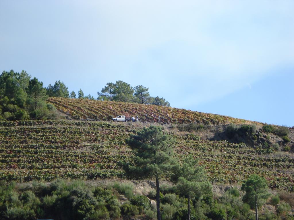 Country House Quinta Da Salgueira Alijó 外观 照片